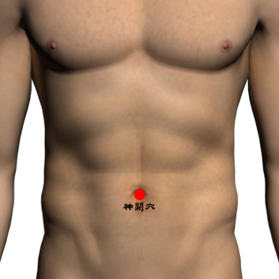 14神阙穴.jpg